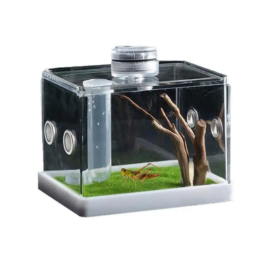 Liilaimic Spider Cage Reptile Hatching Box Breeding Tank