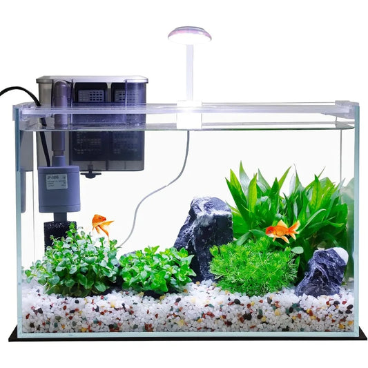 Glass Fish Tank Starter Kit With Built In LED Light