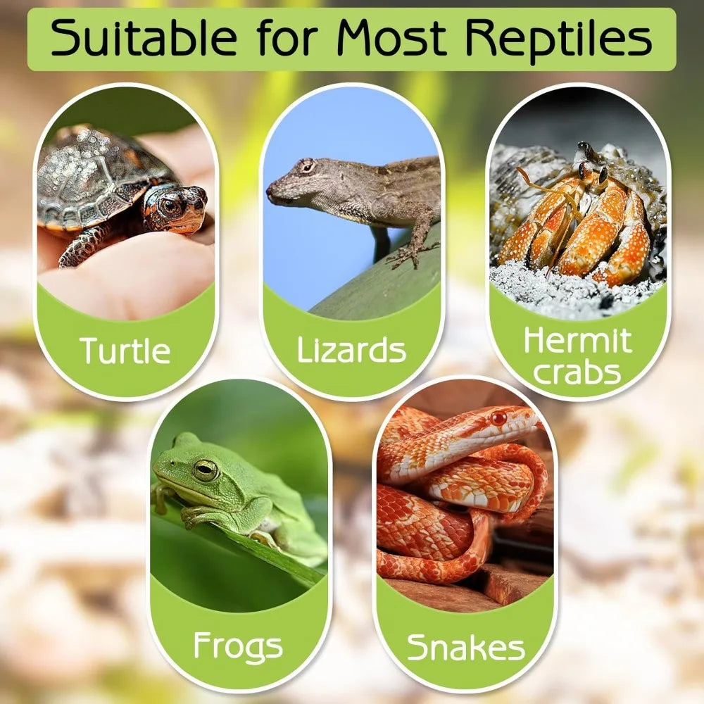 Turtle Bathing Pool Feeding Dish Reptile Water Bowl Habitat Accessory