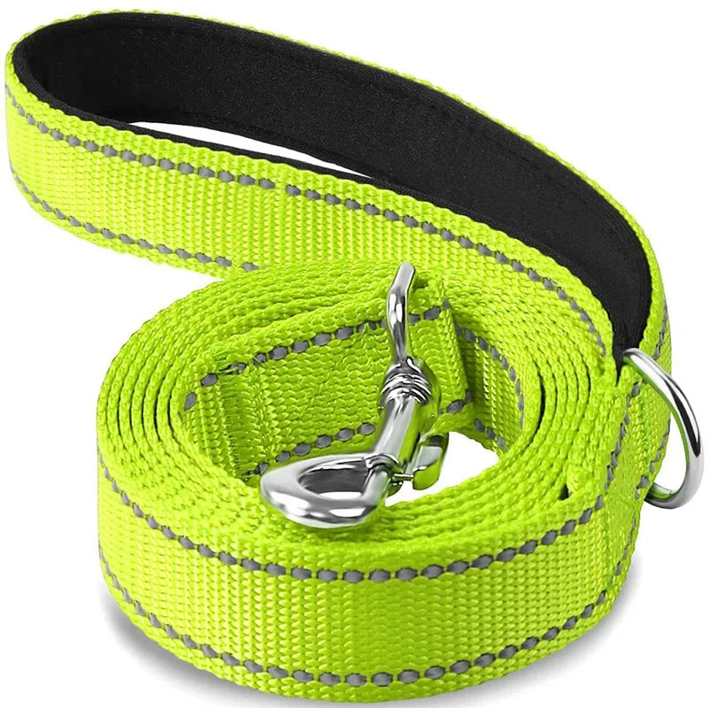 Night Reflective Dog Leash for Walking and Training