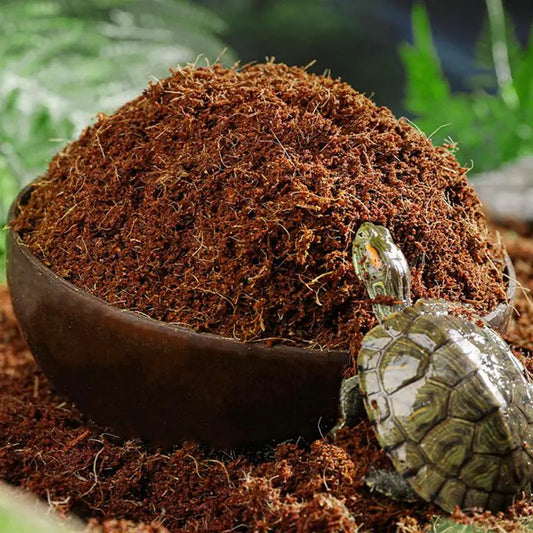 Coco Coir Substrate For Reptiles Snake Geckos Tortoises Frogs
