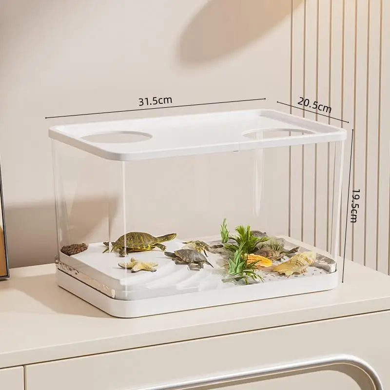 Transparent Mini Fish Tank With Lid For Desktop Aquarium Decor