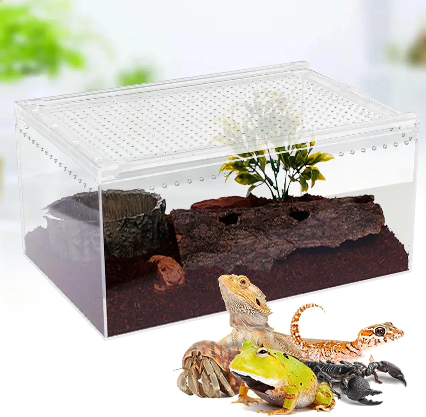 Magnetic Acrylic Reptile Enclosure Breeding Box Terrarium