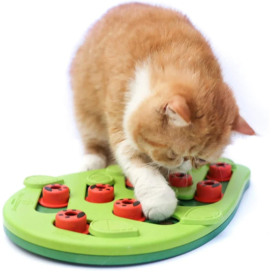 Rainy Day Puzzle And Play Cat Treat Toy Interactive Fun