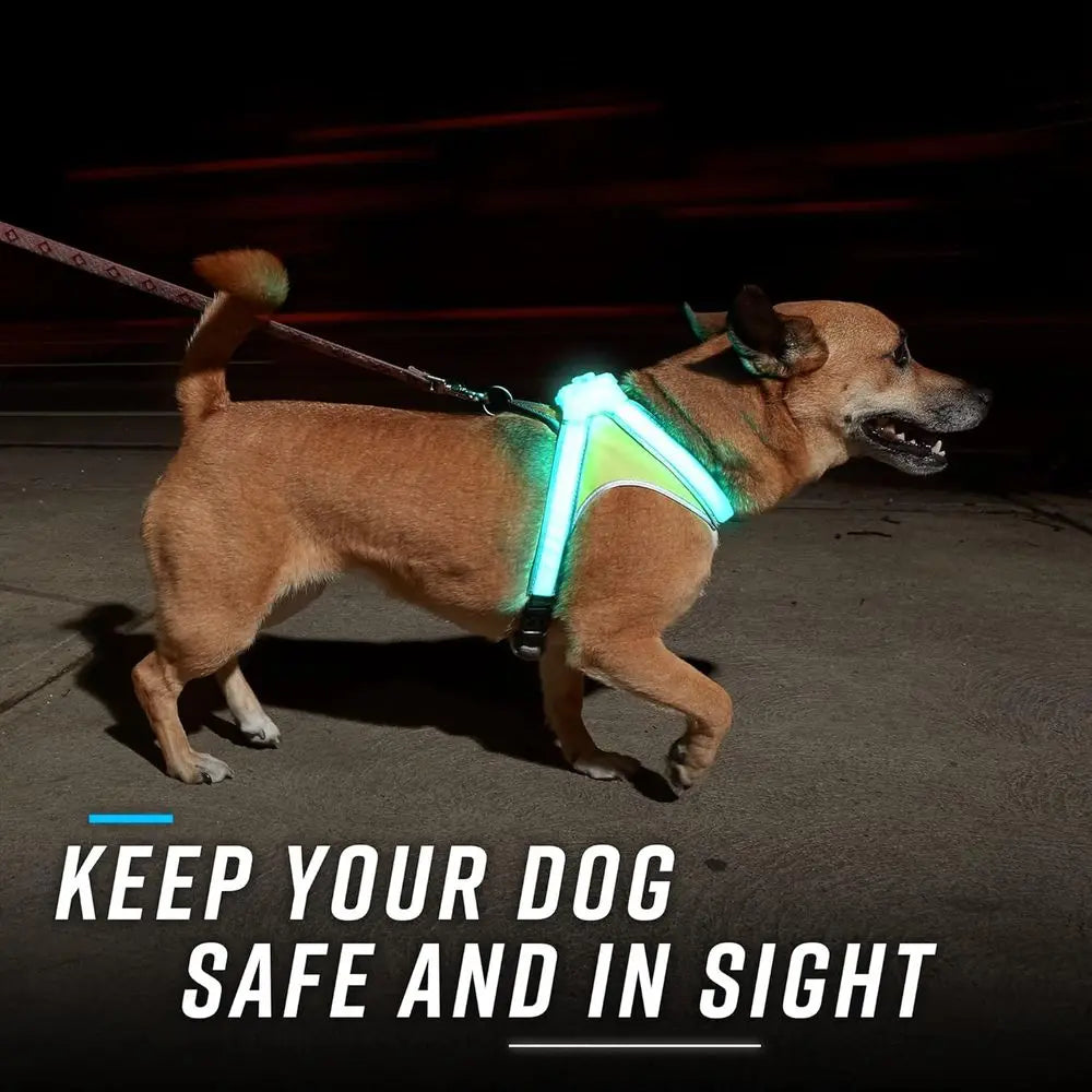 Multicolor LED Lighted Reflective Dog Harness USB Charging Adjustable Waterproof