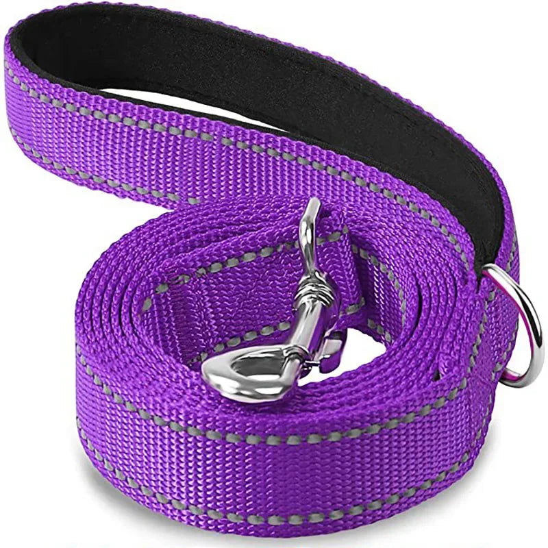 Night Reflective Dog Leash for Walking and Training