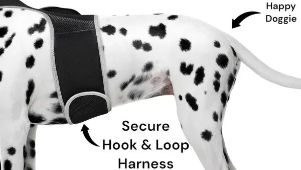 NONECN Real Time GPS Tracking Collar For Cats And Dogs
