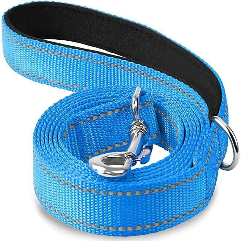 Night Reflective Dog Leash for Walking and Training