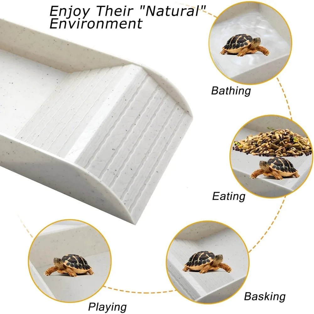 Turtle Bathing Pool Feeding Dish Reptile Water Bowl Habitat Accessory
