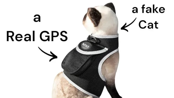 NONECN Real Time GPS Tracking Collar For Cats And Dogs