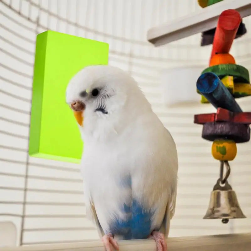 Bird Cage Heater High Efficiency Warmth For Parrots And Budgies