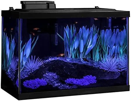 Aquarium Kit With LED Lighting And Decor For A Complete Fish Tank Setup