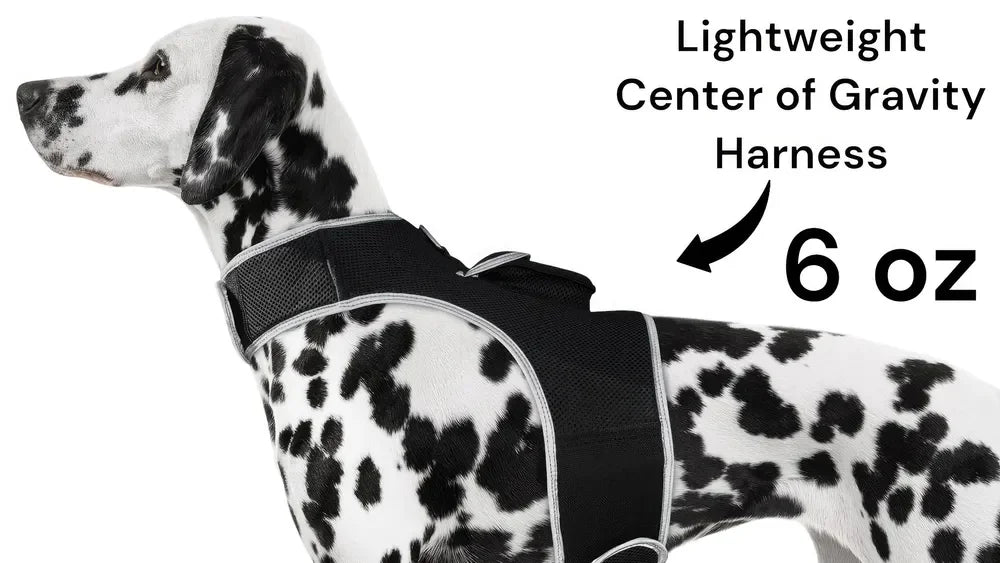 NONECN GPS Tracking Collar Real Time Location For Cats Dogs