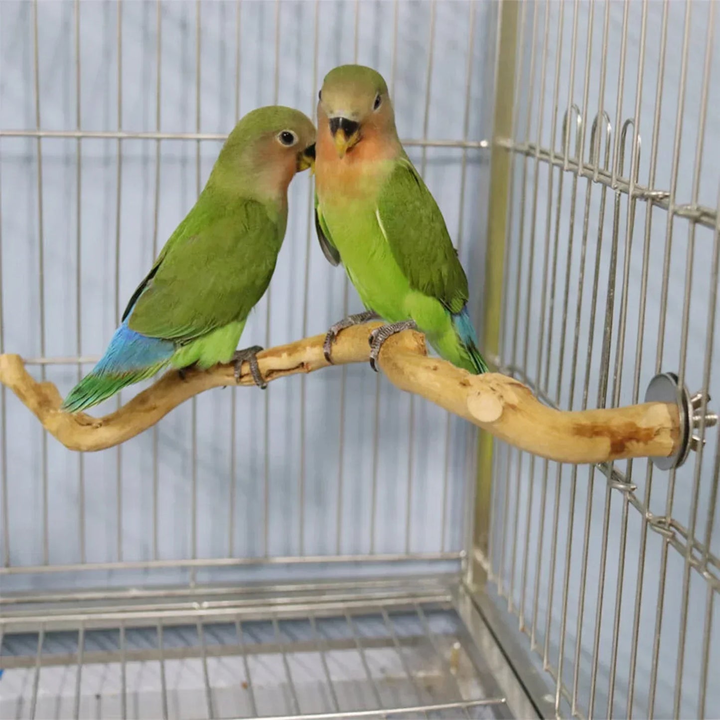 Parrot Perch Bird Stand Wooden Tree Stick Parakeet Climbing Branches