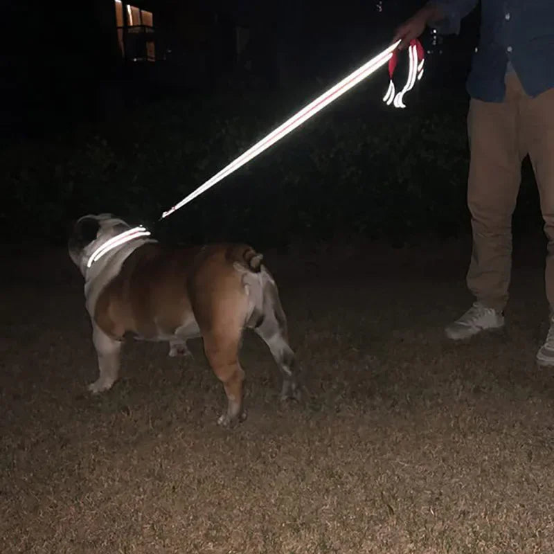Night Reflective Dog Leash for Walking and Training