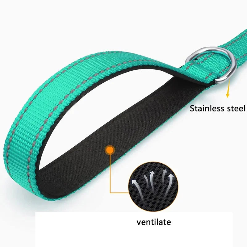 Night Reflective Dog Leash for Walking and Training
