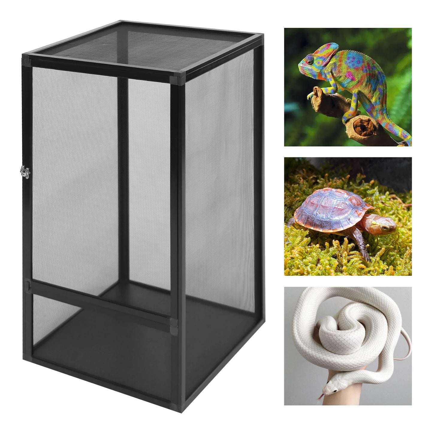 Bymaocar Micro Habitat Terrarium Enclosure Reptile Feeding Box 20kg