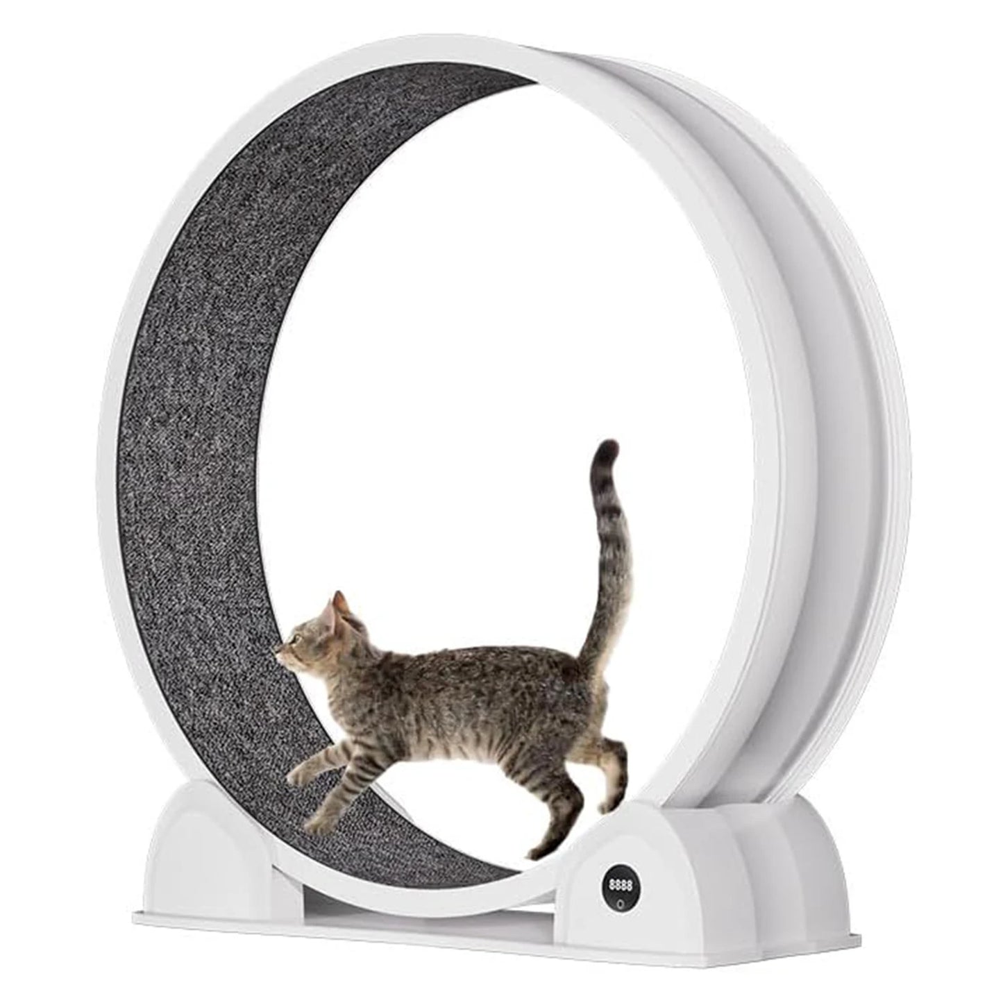 HiMIS Cat Exercise Wheel Indoor Cats Pedometer Quiet Treadmill