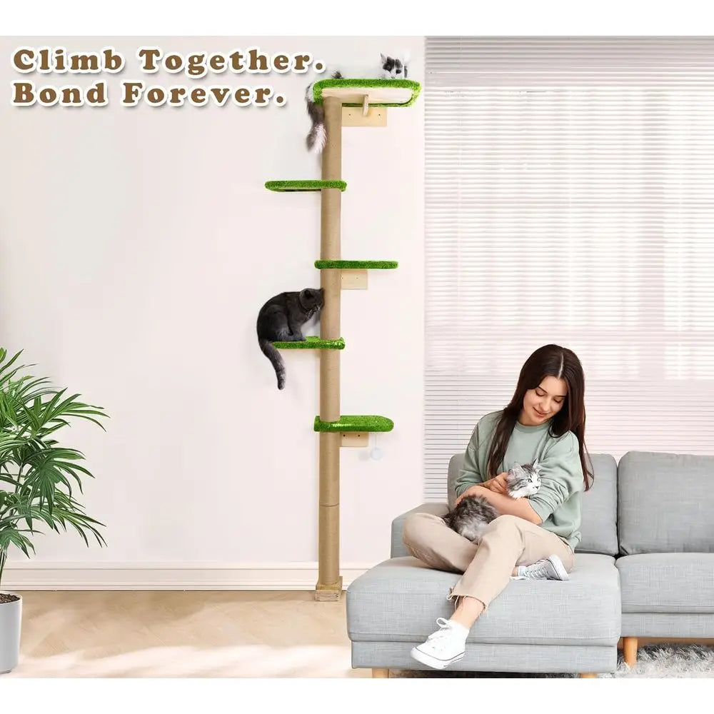 Vertical Cat Climbing Tree With Wall Mounted Platforms For Kittens