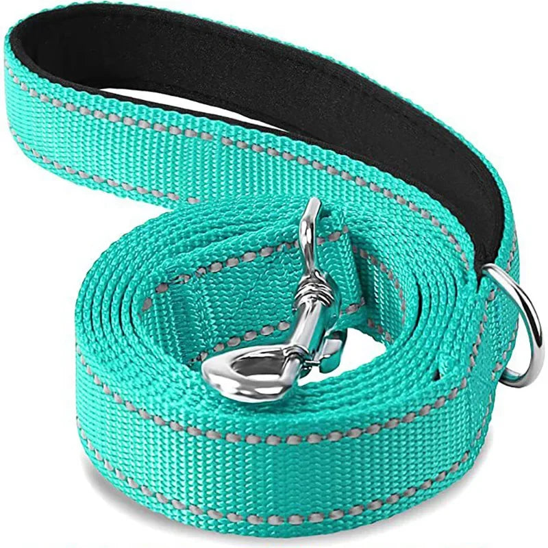 Night Reflective Dog Leash for Walking and Training