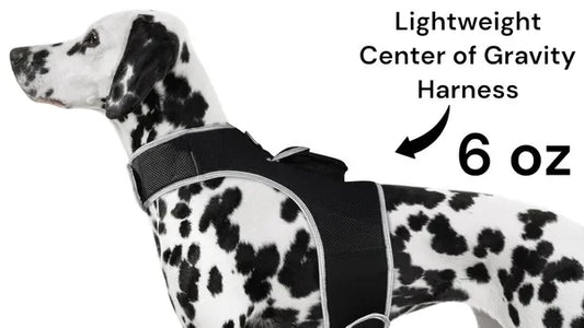 NONECN GPS Tracking Collar Real Time Location For Cats Dogs