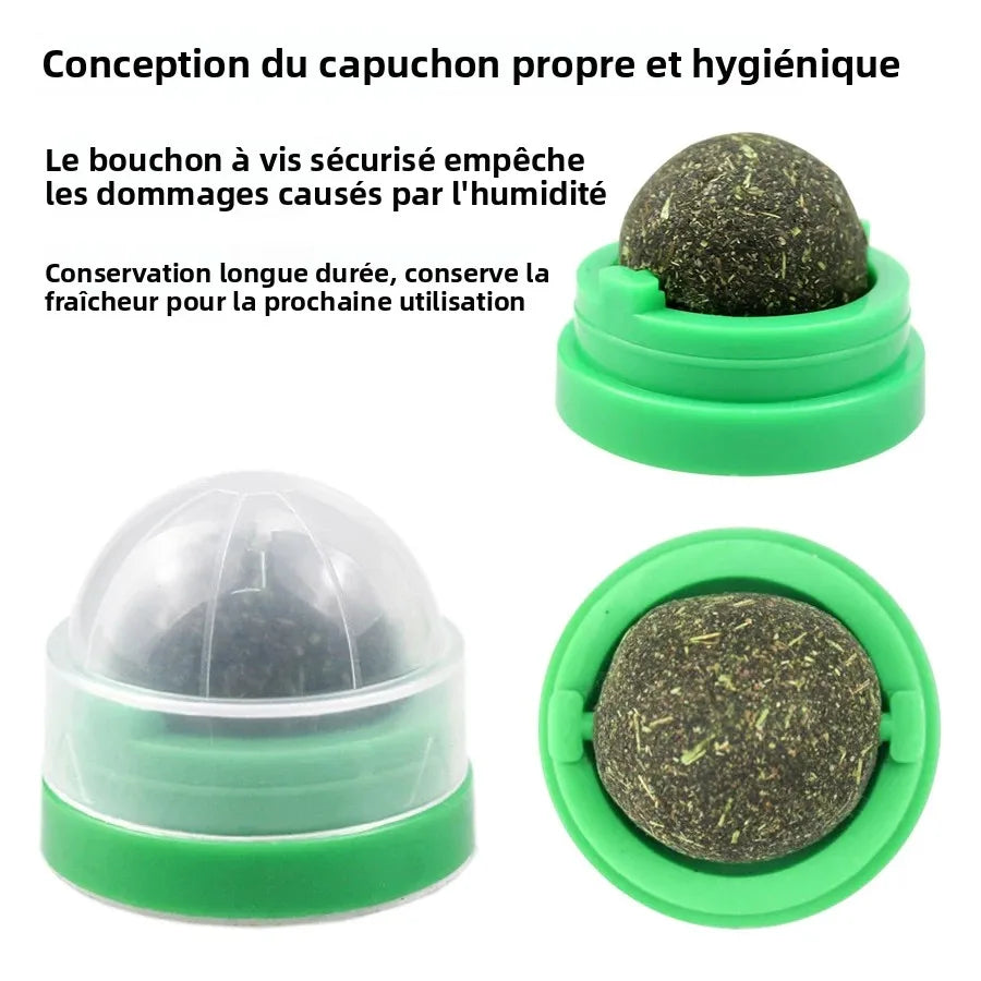 Spinning Catnip Mint Ball Cat Toy For Hairball Control