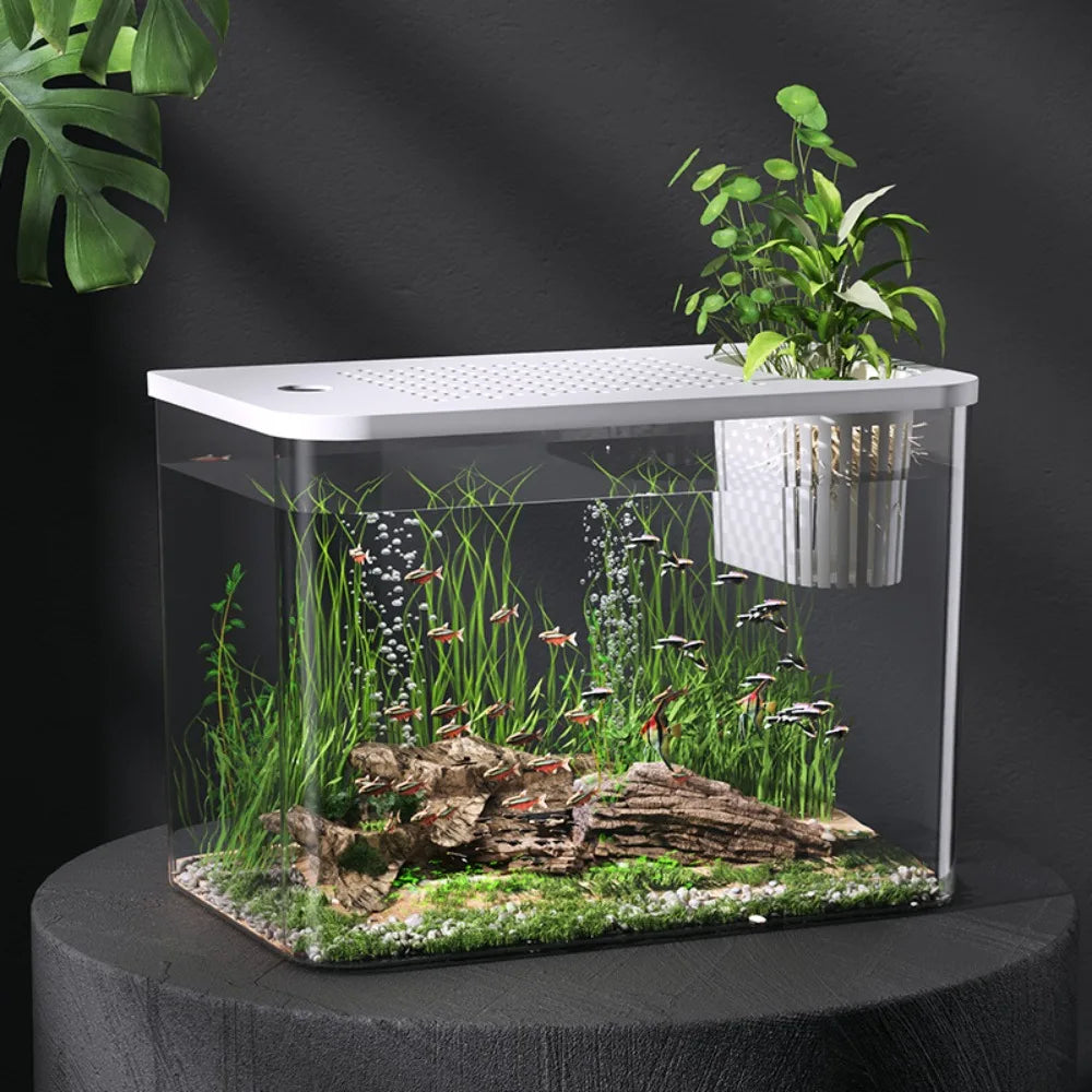 Pet ABS Fish Tank With Lid Transparent Hydroponic Tank