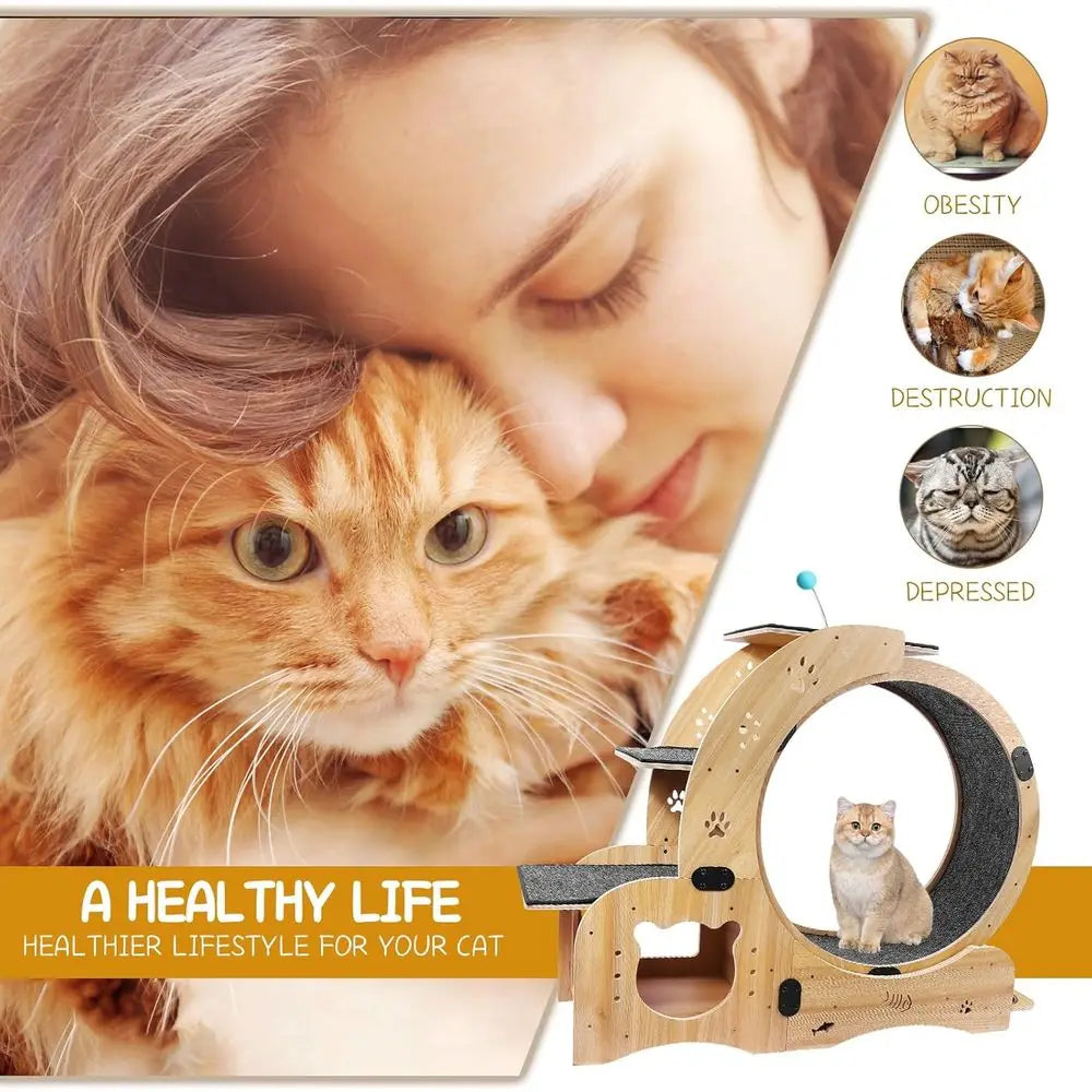 Six-In-One Cat Activity Center With Wheel Bed Scratcher Climbing Toys