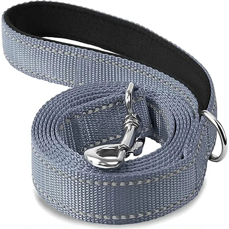 Night Reflective Dog Leash for Walking and Training