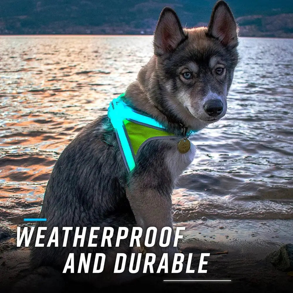 Multicolor LED Lighted Reflective Dog Harness USB Charging Adjustable Waterproof