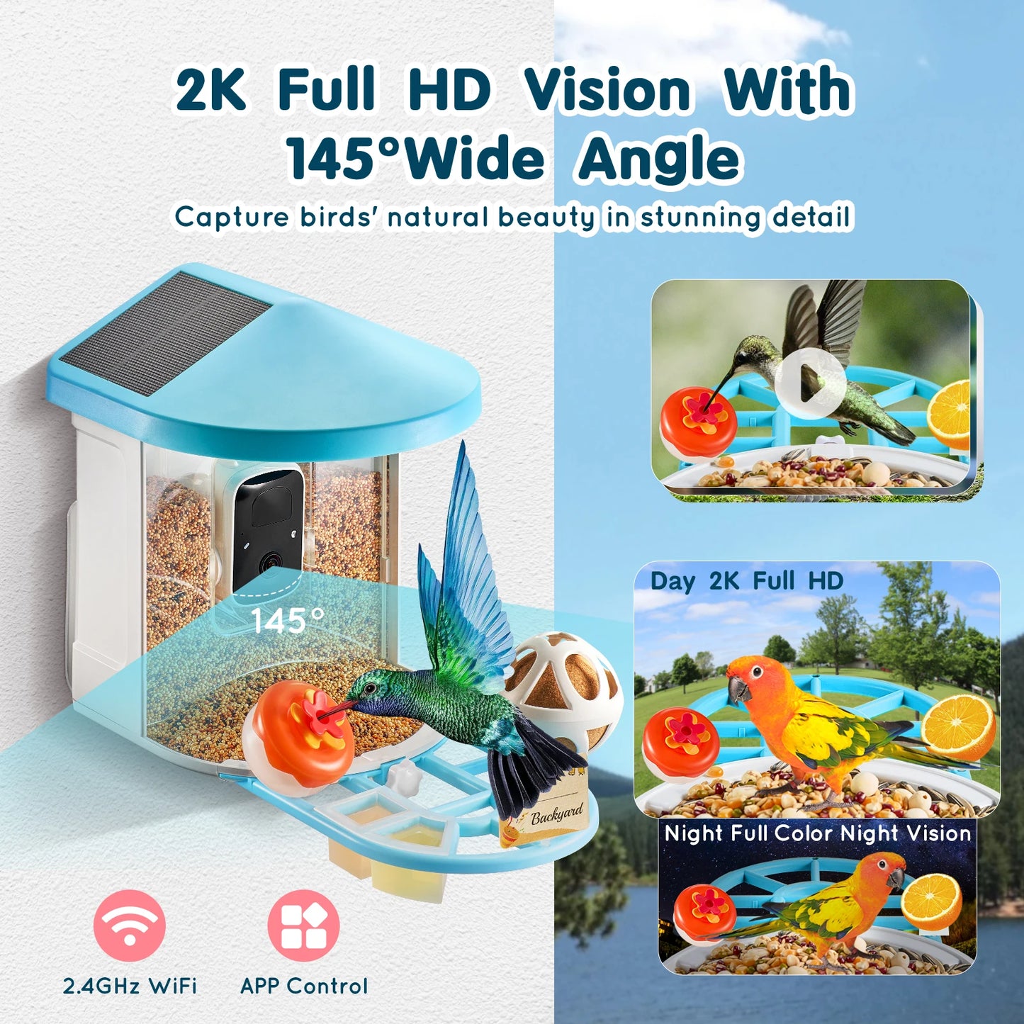 SucceBuy 2K Solar Bird Feeder Camera AI Identify Birds