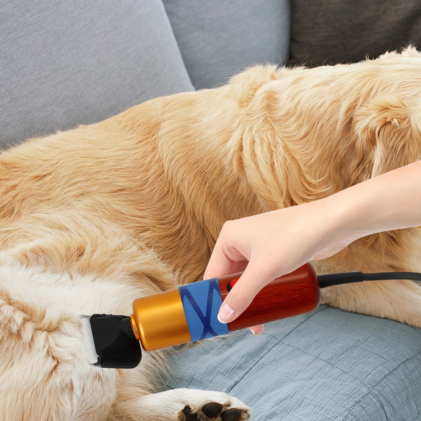 Pet Hair Clipper Low Noise High Efficiency Variable Speed