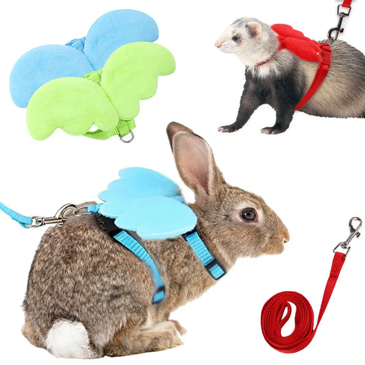 Angel Wings Harness and Leash for Small and Medium Pets