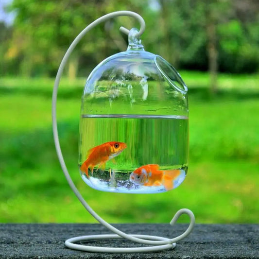 Hanging Glass Fish Bowl With Rack Holder For Home Decoration