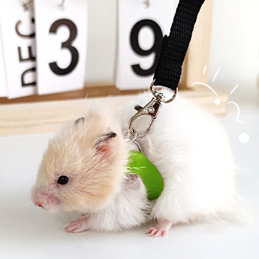 Small Animal Harness and Leash Set with Escape Proof Collar