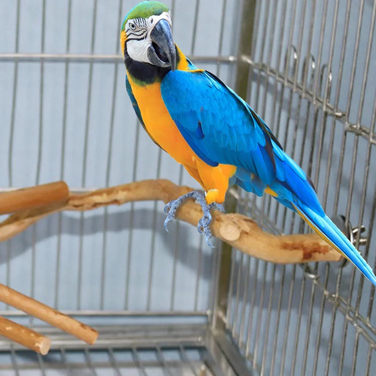 Parrot Perch Bird Stand Wooden Tree Stick Parakeet Climbing Branches
