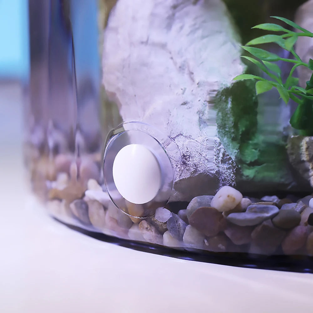 TWISTER.CK Fish Tank With Circulation Oxygenation And LED Lighting