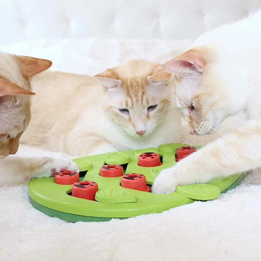 Rainy Day Puzzle And Play Cat Treat Toy Interactive Fun