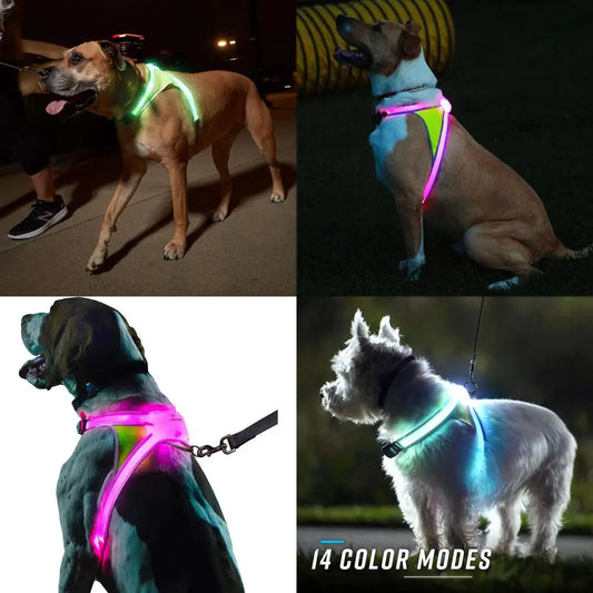Multicolor LED Lighted Reflective Dog Harness USB Charging Adjustable Waterproof