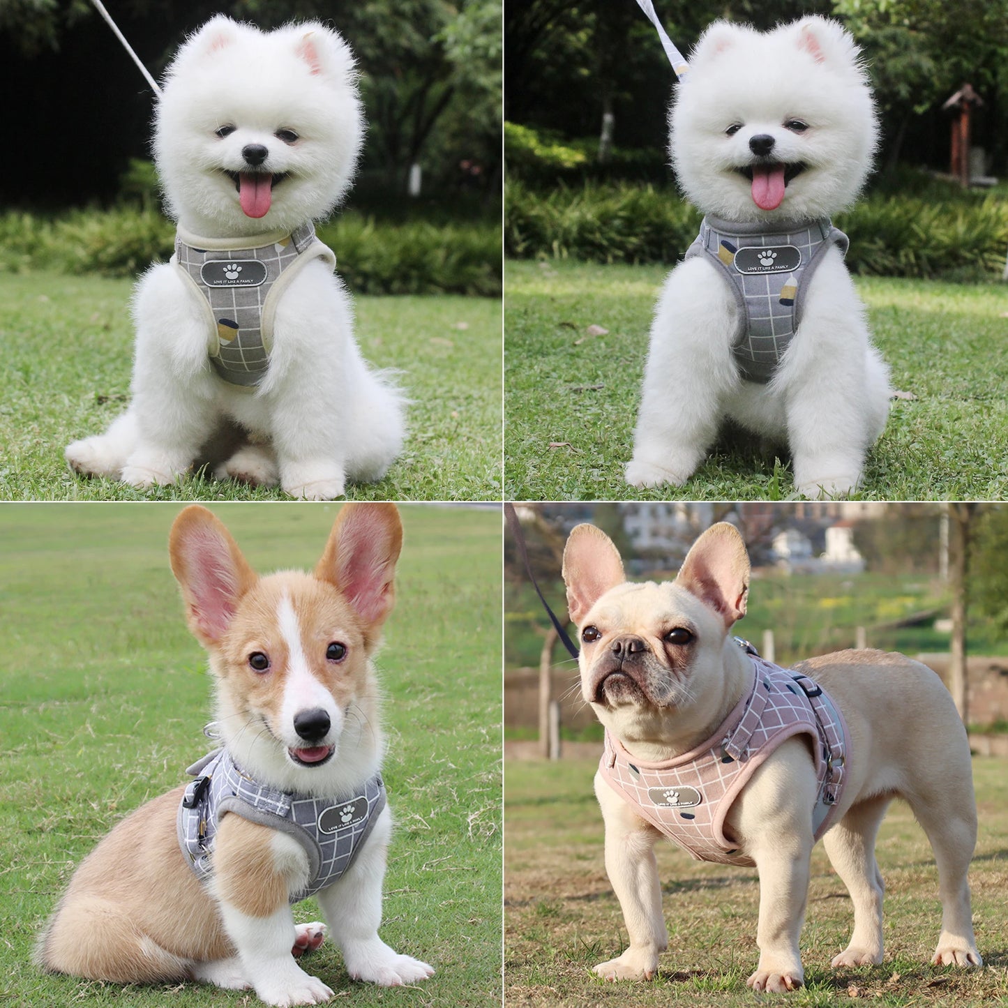 Breathable Reflective Poodle Pet Harness With Leash And Collar