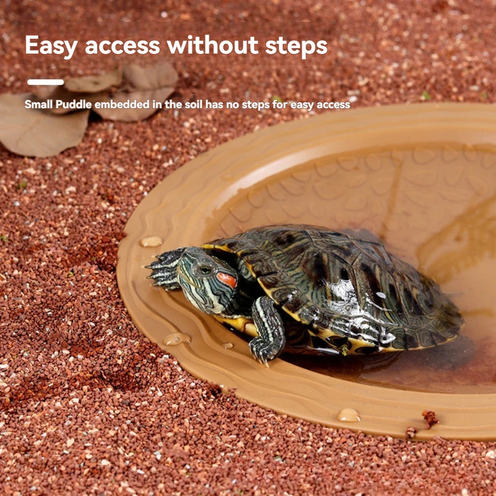 Turtle Bathing Pool Feeding Dish Reptile Water Bowl Habitat Accessory