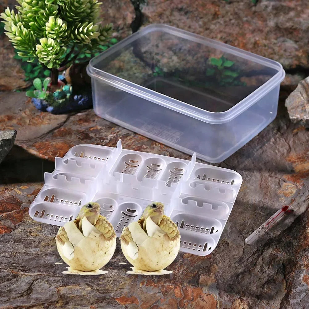 Shunmaii 16 Grids Reptile Egg Incubator Tray Hatcher Plastic Box