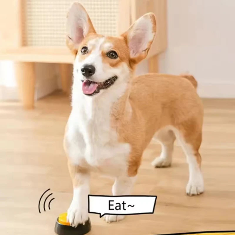 Recordable Dog Toy Squeak Toy With Talking Pet Buttons