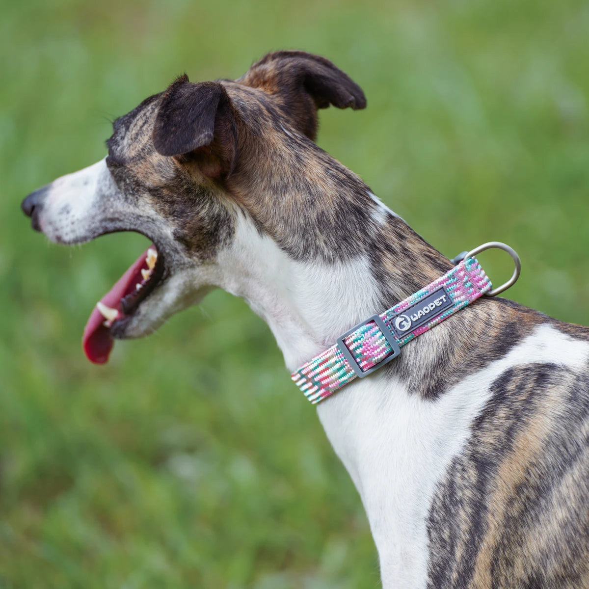 Leashes and Collar Set for Dogs Reflective Plaid Pattern