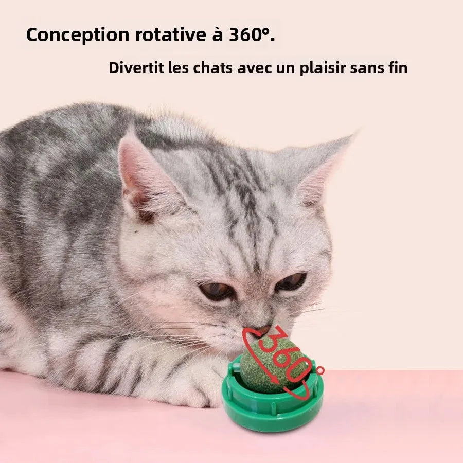 Spinning Catnip Mint Ball Cat Toy For Hairball Control