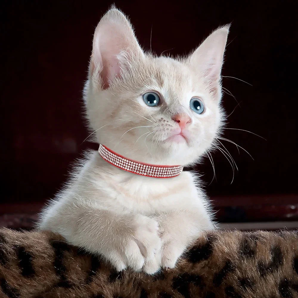 Soft Suede Cat Collar Rhinestone Bling with Bell Safety Breakaway
