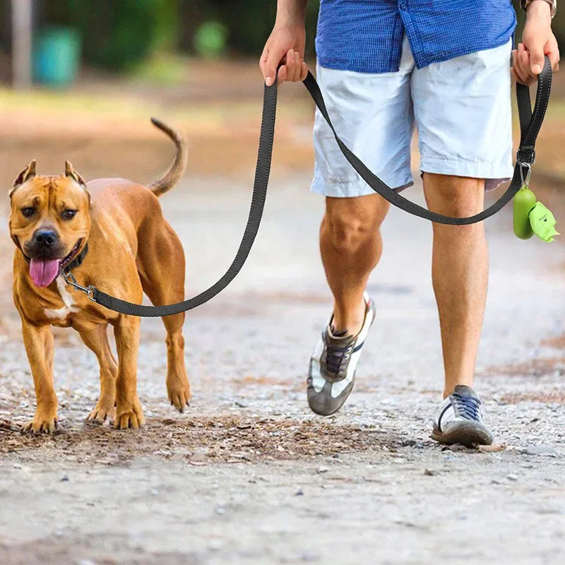 Night Reflective Dog Leash for Walking and Training