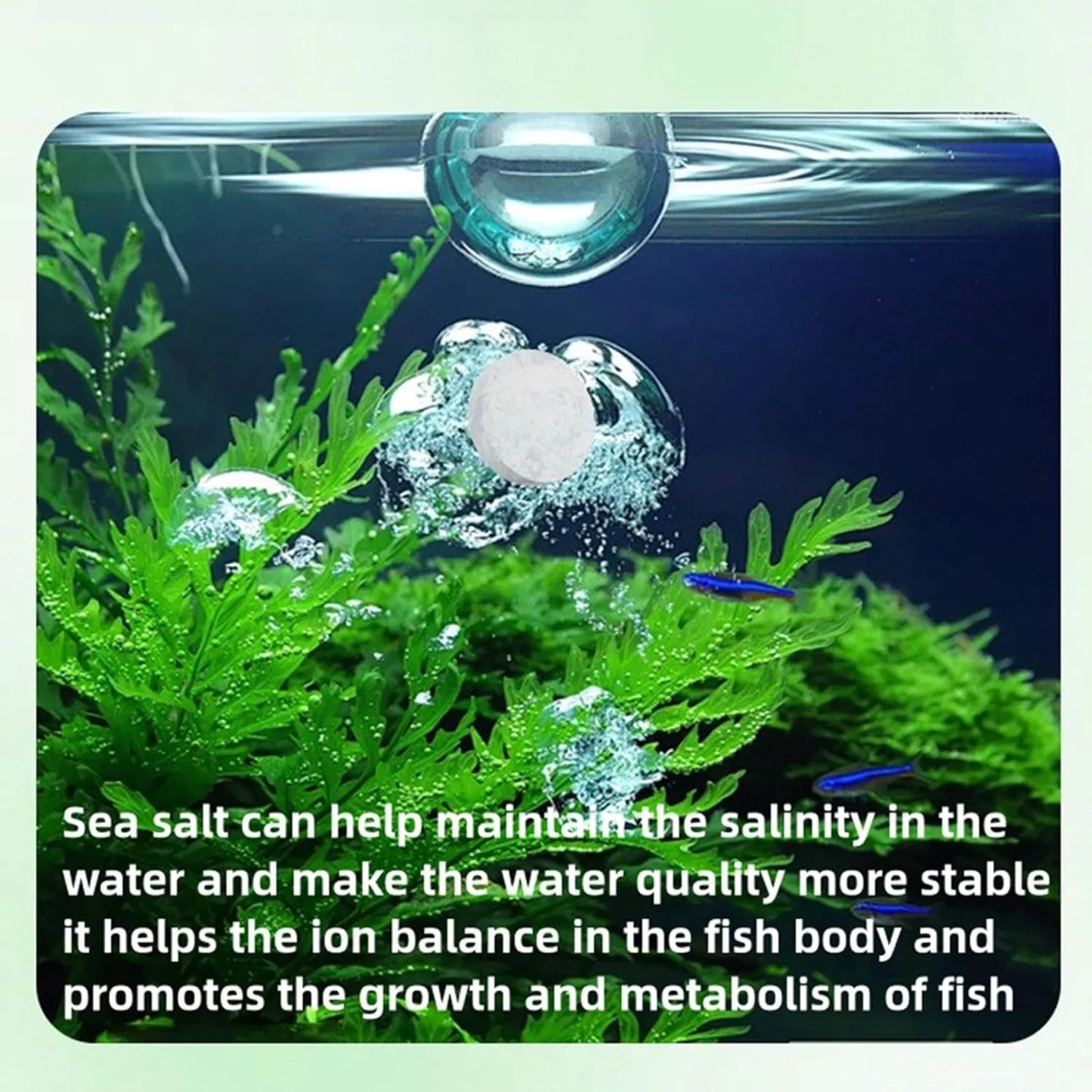 Freshwater Aquarium Water Purification Tablets Clear Turbidity