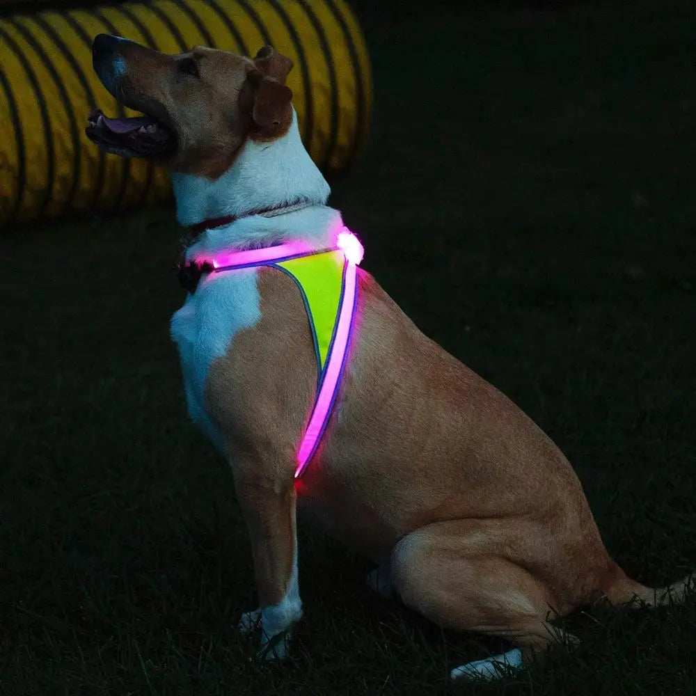 Multicolor LED Lighted Reflective Dog Harness USB Charging Adjustable Waterproof