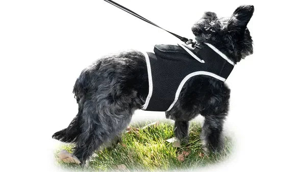 NONECN Real Time GPS Tracking Collar For Cats And Dogs